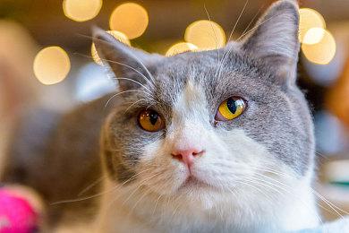 《污泥人生2》Steam试玩版推出 6月27日正式发售